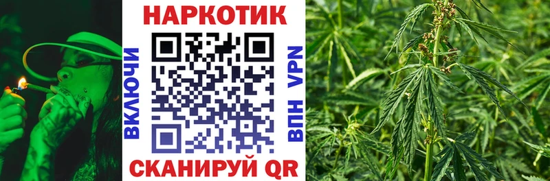 Купить наркотик аптеки Шилка Галлюциногенные грибы Амфетамин Кетамин A PVP Конопля Гашиш