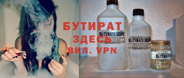 сатива Кулебаки
