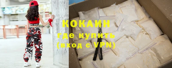 сатива Кулебаки