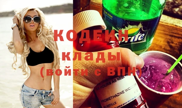 сатива Кулебаки