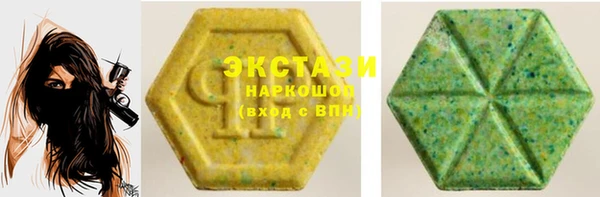 сатива Кулебаки