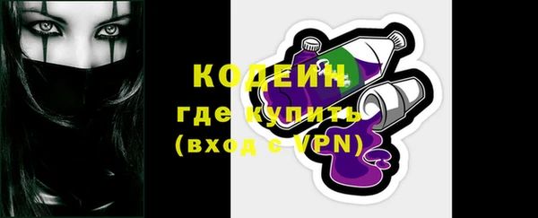 сатива Кулебаки
