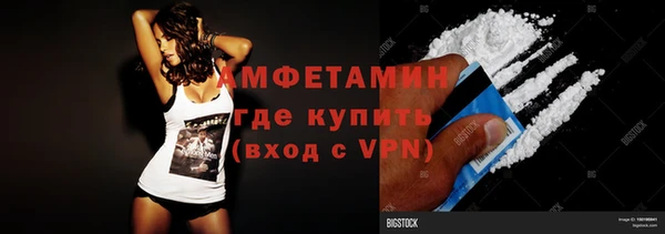 сатива Кулебаки