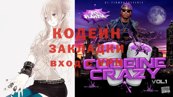 сатива Кулебаки