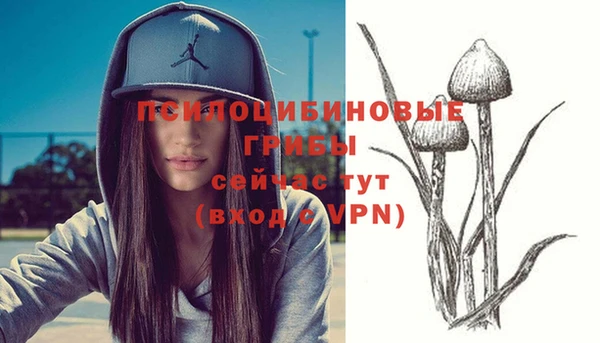 MDMA Кукмор
