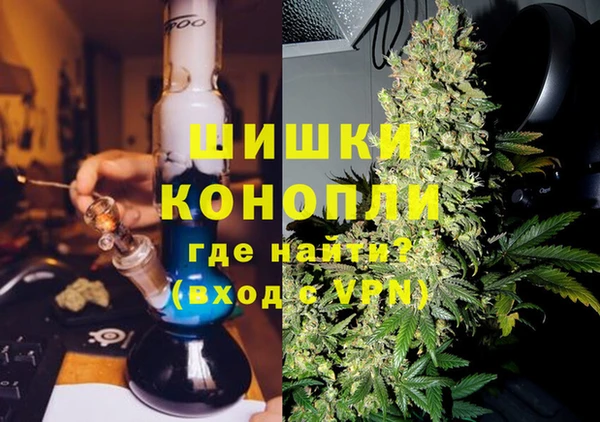 сатива Кулебаки