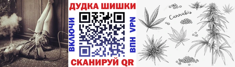 Канабис гибрид Шилка
